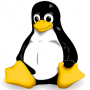 surf:tests:dicetracking:img:tux.png